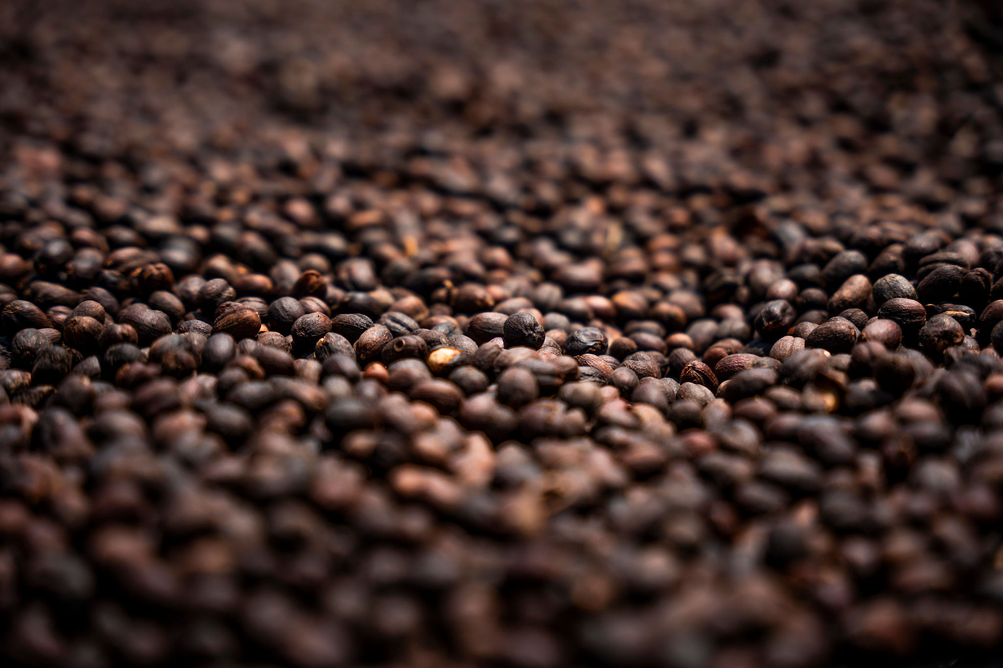 الحياة في محطات غسيل YEET COFFEE في كارونغي