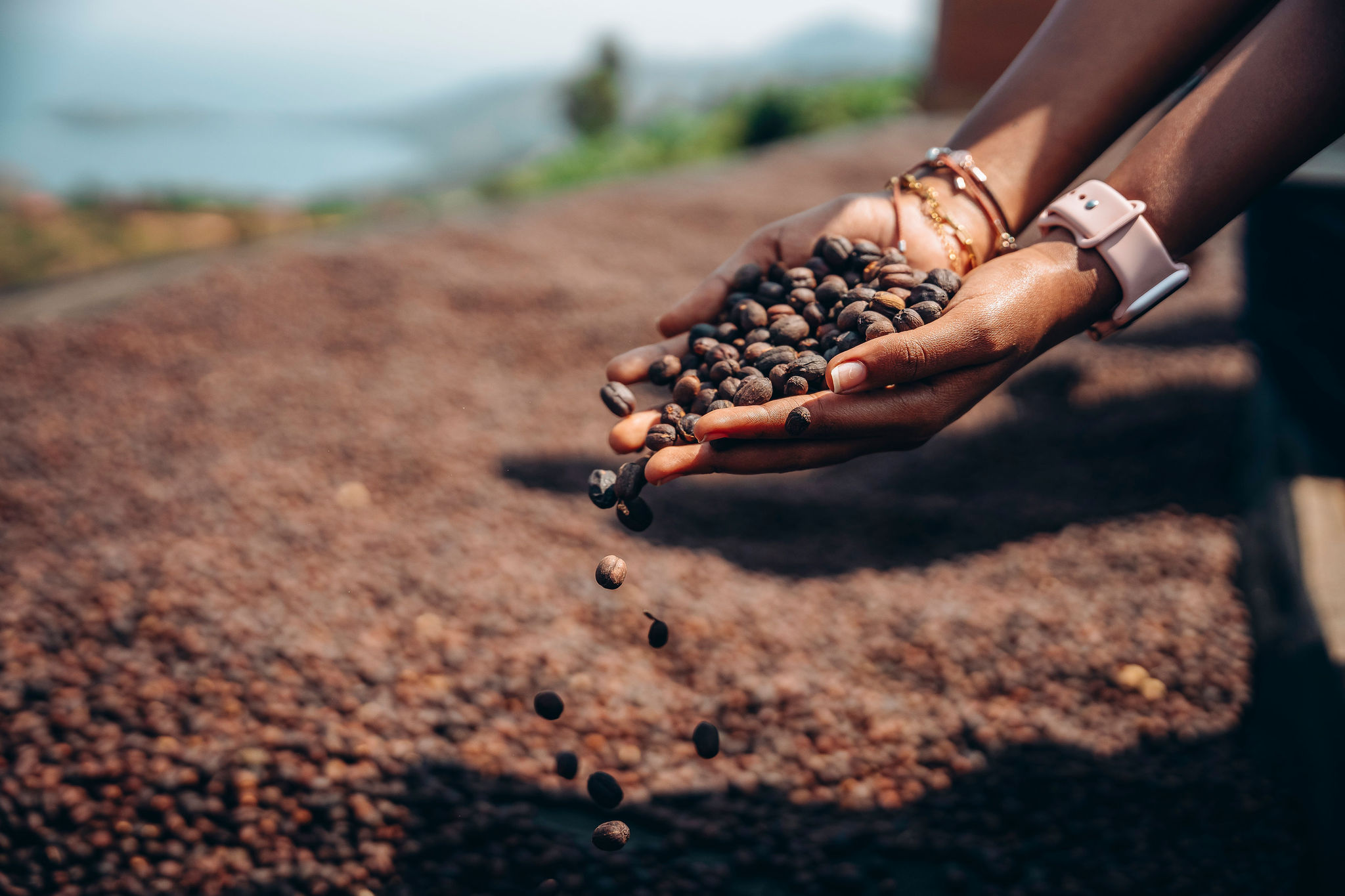 الحياة في محطات غسيل YEET COFFEE في كارونغي