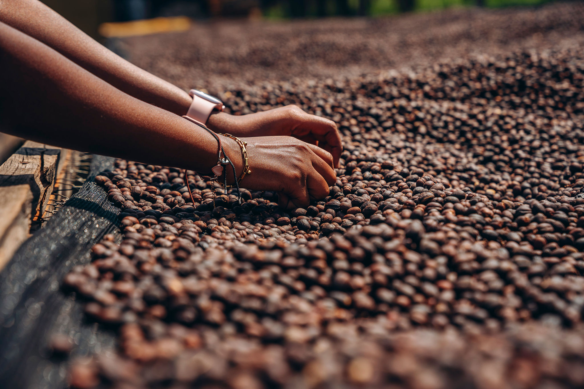 الحياة في محطات غسيل YEET COFFEE في كارونغي