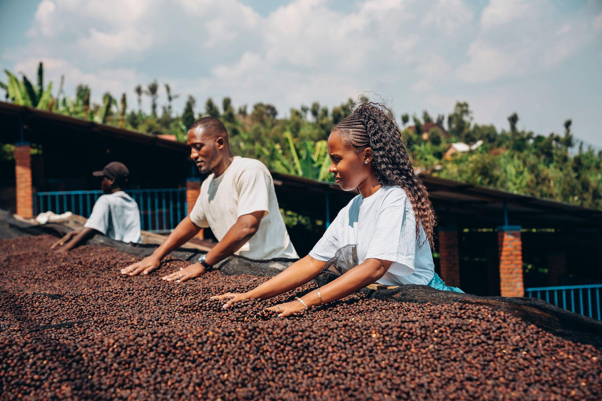 الحياة في محطات غسيل YEET COFFEE في كارونغي