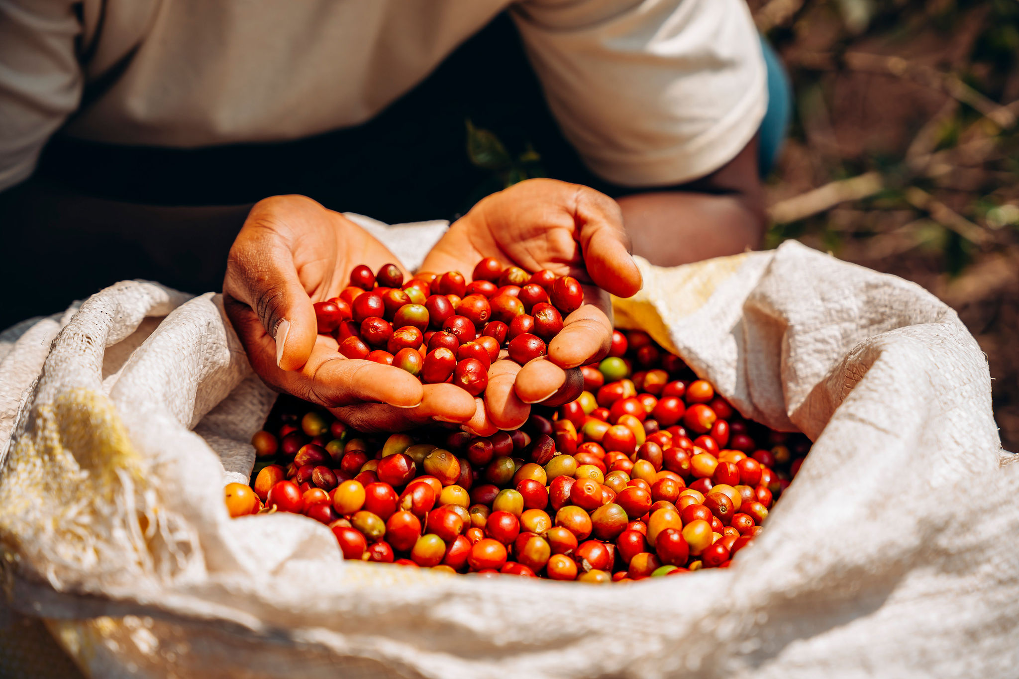 الحياة في محطات غسيل YEET COFFEE في كارونغي